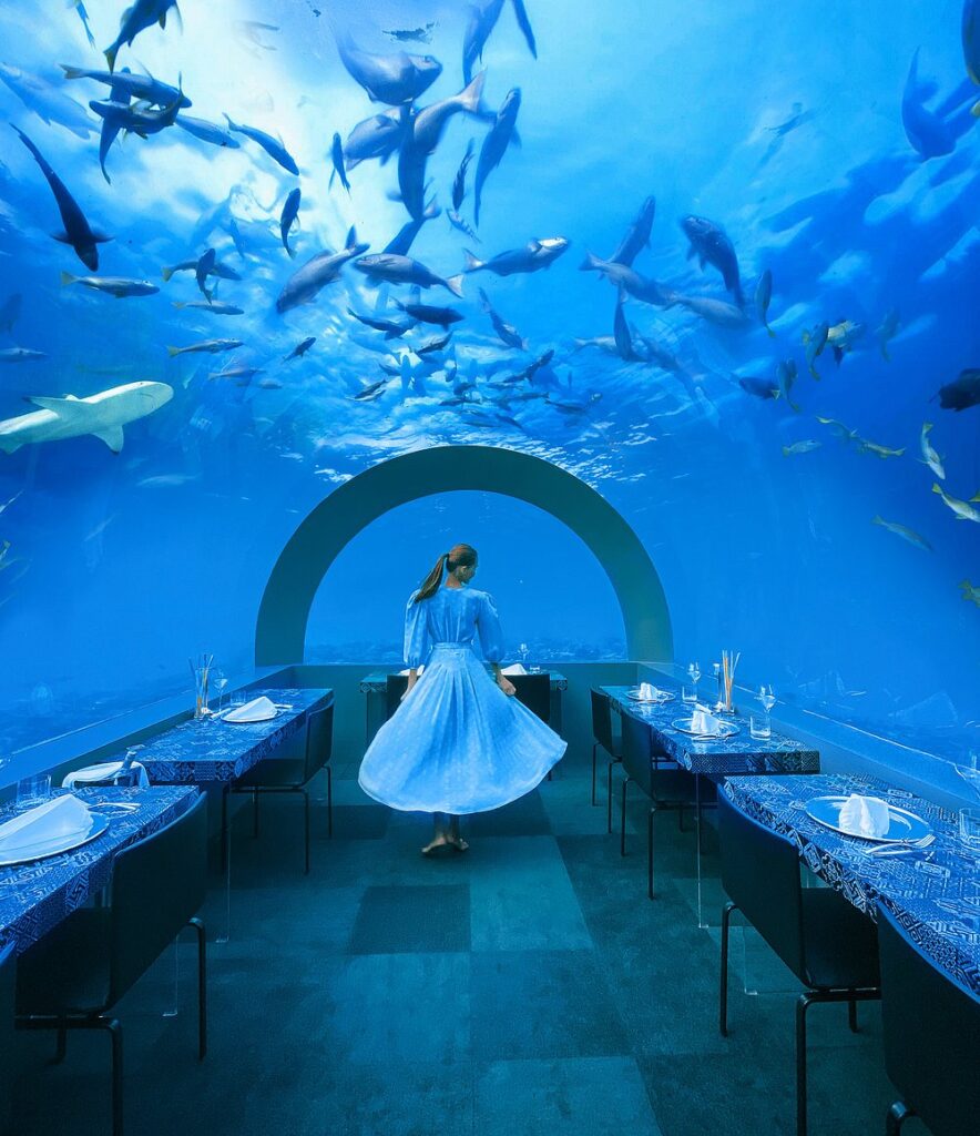 H2O underwater restaurant no You and Me Maldives com vista panorâmica subaquática