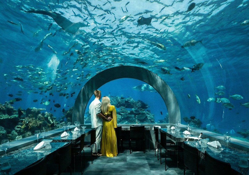 Restaurante subaquático com vista para peixes e mar nas Maldivas