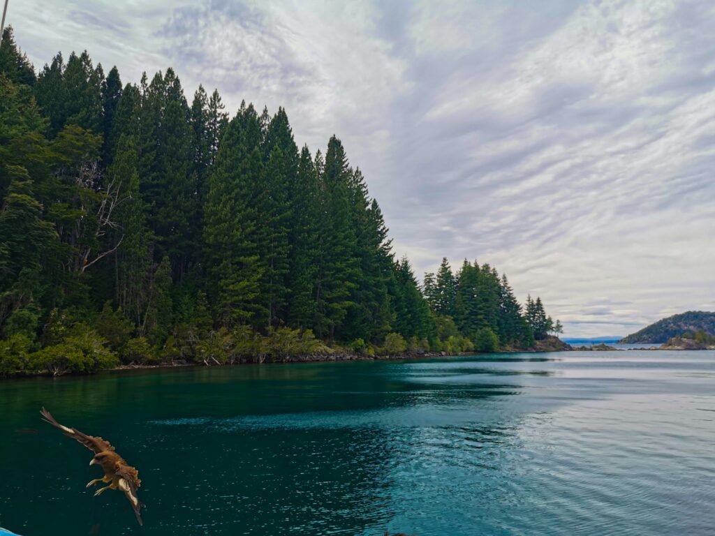 Lago azul cercado por floresta na região de Bariloche na Cordilheira dos Andes