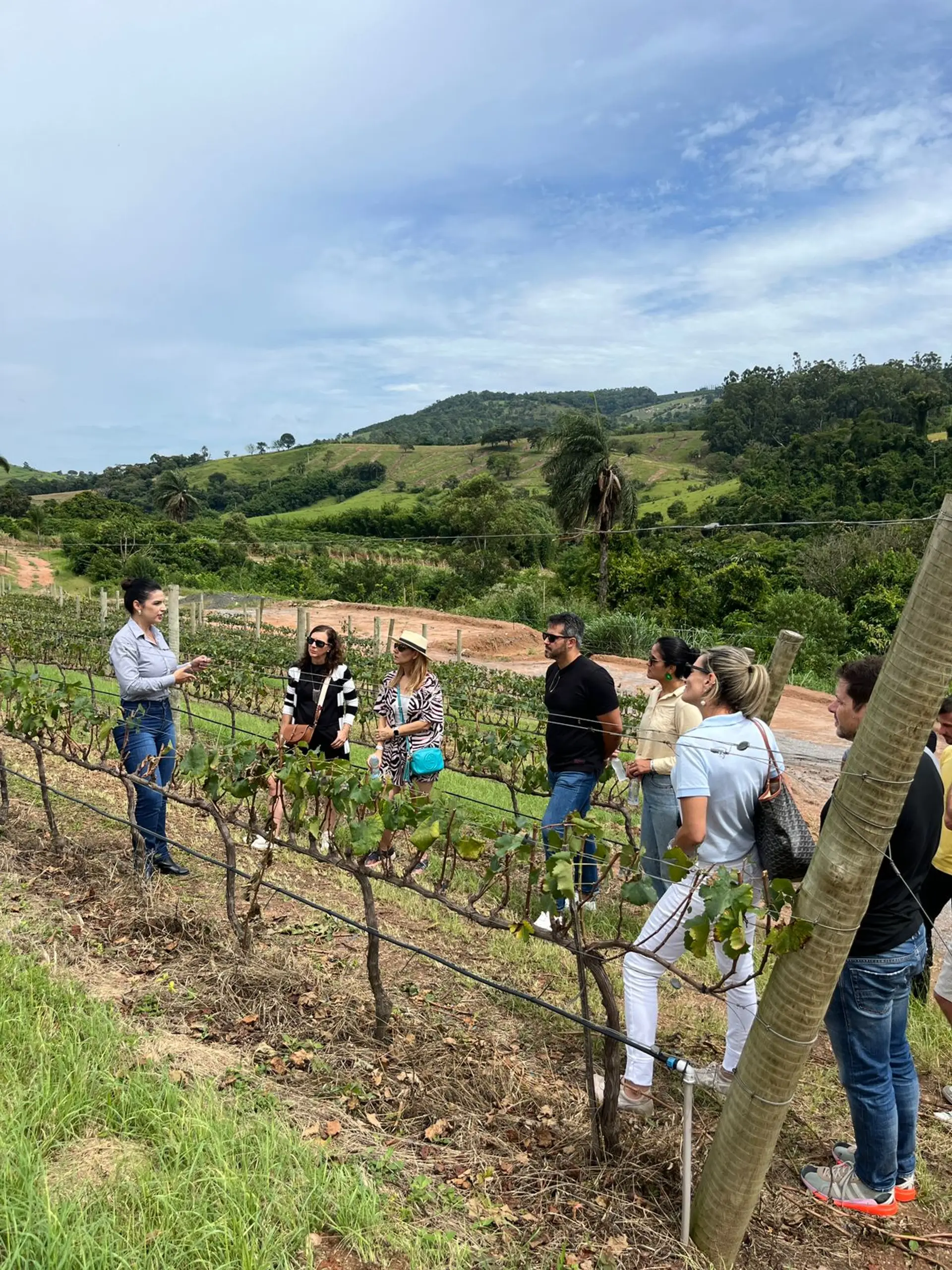 Retiro do Vinho 2026
